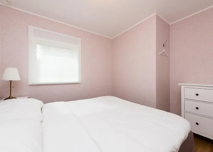 - No Contact Check In *